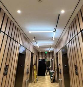 360° Neon Light  2023 America