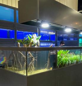 Aquarium light  2020 The Netherlands，UK