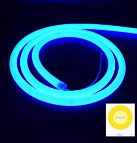 D25 Round View Neon Tube