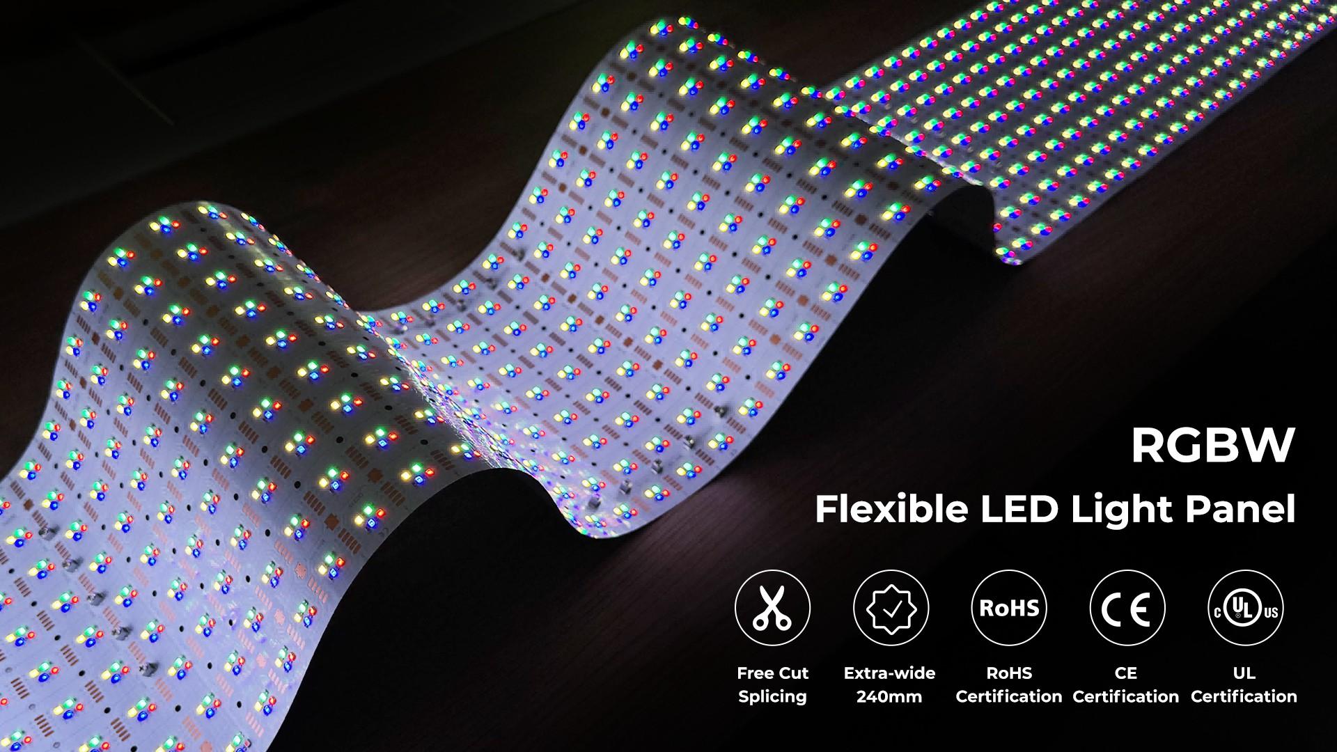 1775179719545973.jpg 20260205145144a76981.jpg